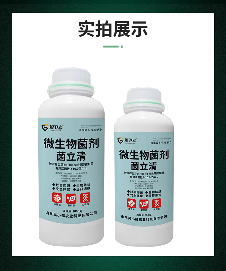 植物菌立清微生物菌剂杀菌剂根腐克星大蒜专用叶面肥清满园根腐病