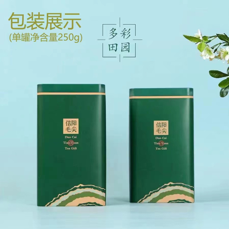 自产自销信阳源产地绿茶 回味甘甜2025年雨前新茶 信阳毛尖批发
