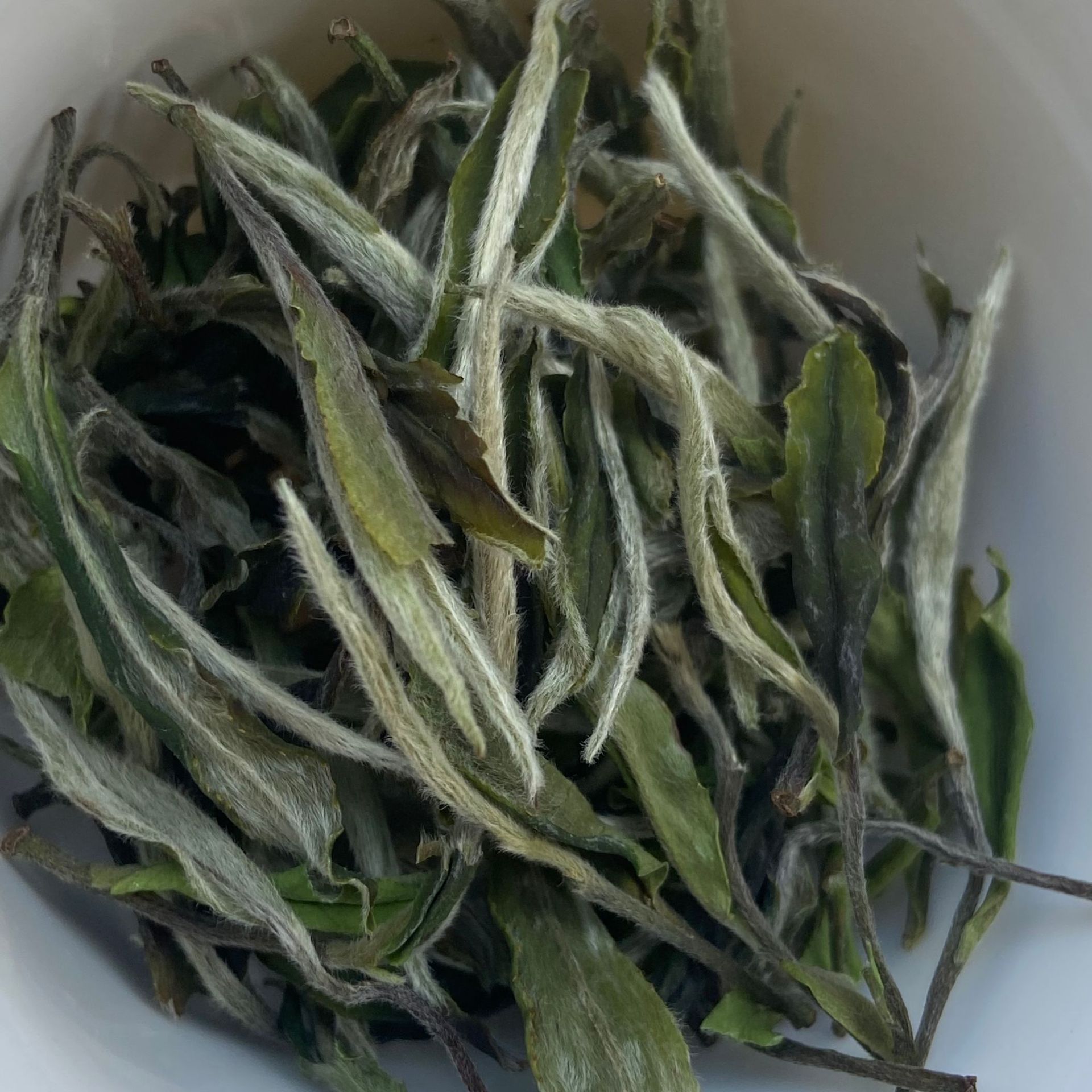 2024年福鼎的白茶白牡丹 明前日晒 白茶散装批 茶叶批发牡丹 散茶
   1斤