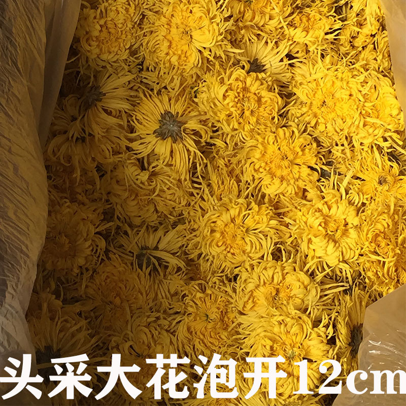 批发金丝皇菊散装 黄菊特级大花散称菊花茶大朵茶叶罐装散货去火
   1斤