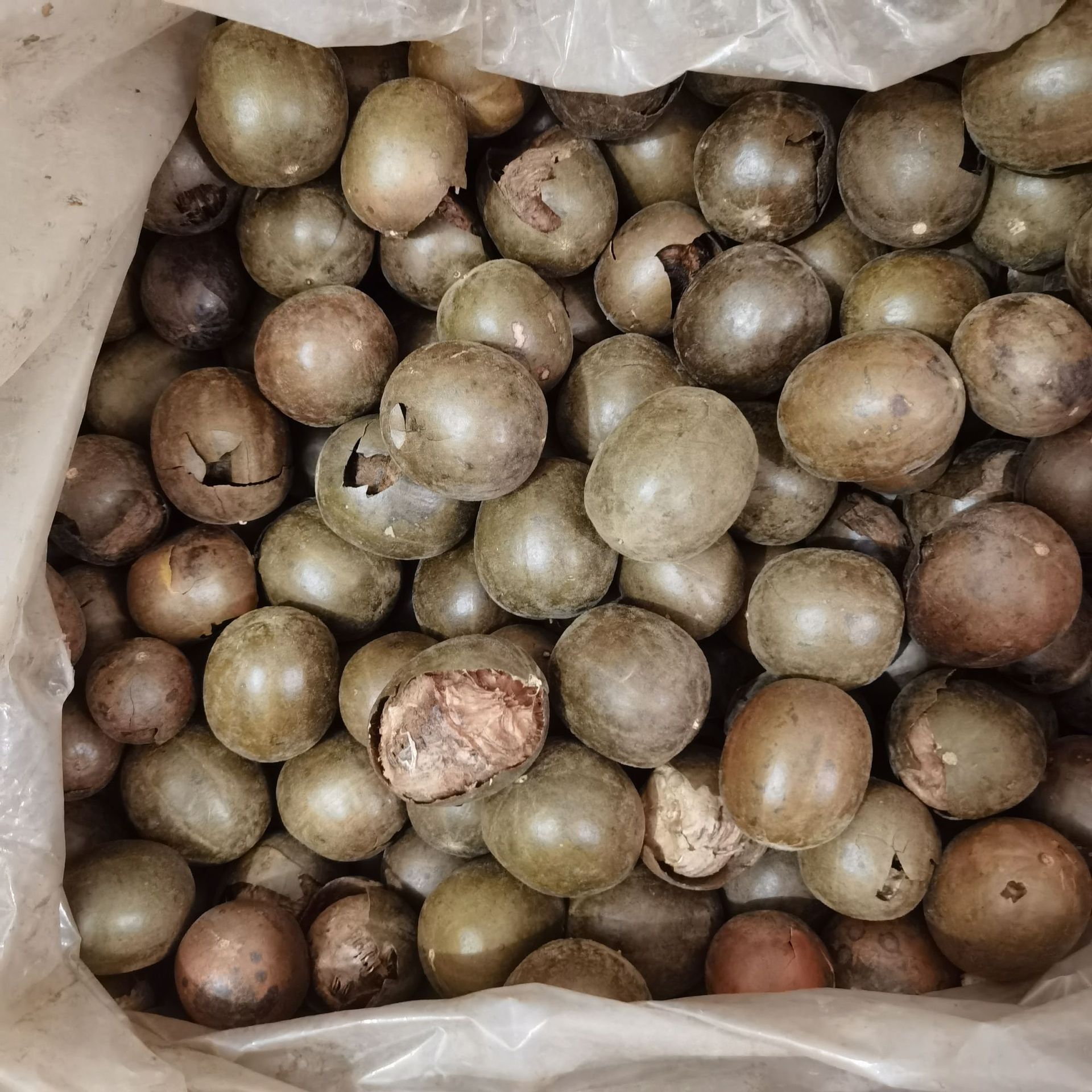 散装罗汉果破果广西桂林批 发大破果大碎果凉茶干果烧烤破壳果  2斤
