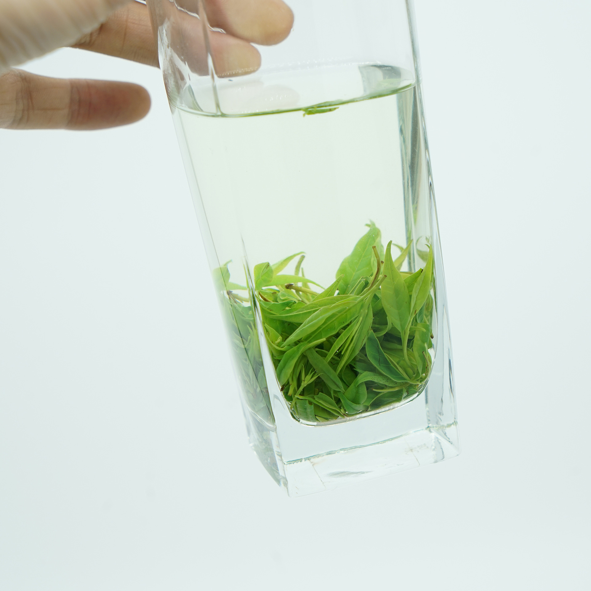 2025新茶四川高山绿茶 绿水青山苦丁茶 清热解暑春茶茶叶市场批发
