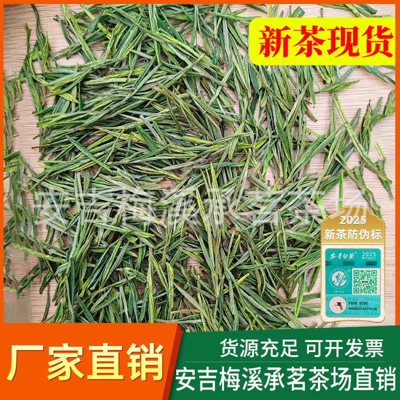 现货正宗新茶安吉白茶茶叶绿茶货源批发厂家直销散装500g一件代发
