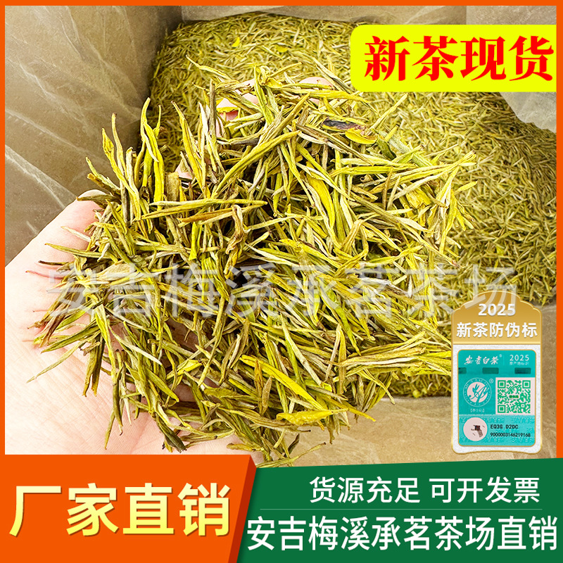 2025新茶正宗安吉黄金芽茶叶绿茶奶白安吉白茶厂家直销散装供货
