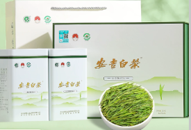 安吉白茶2026新茶明前绿茶茶叶