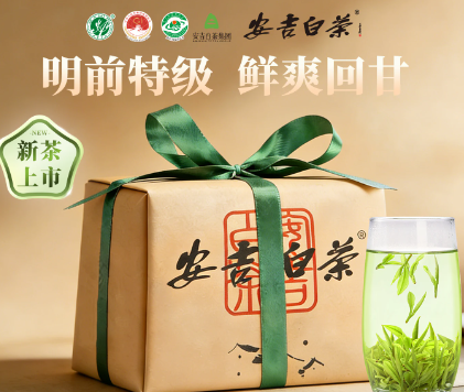 安吉白茶2026新茶明前特级高山绿茶茶叶