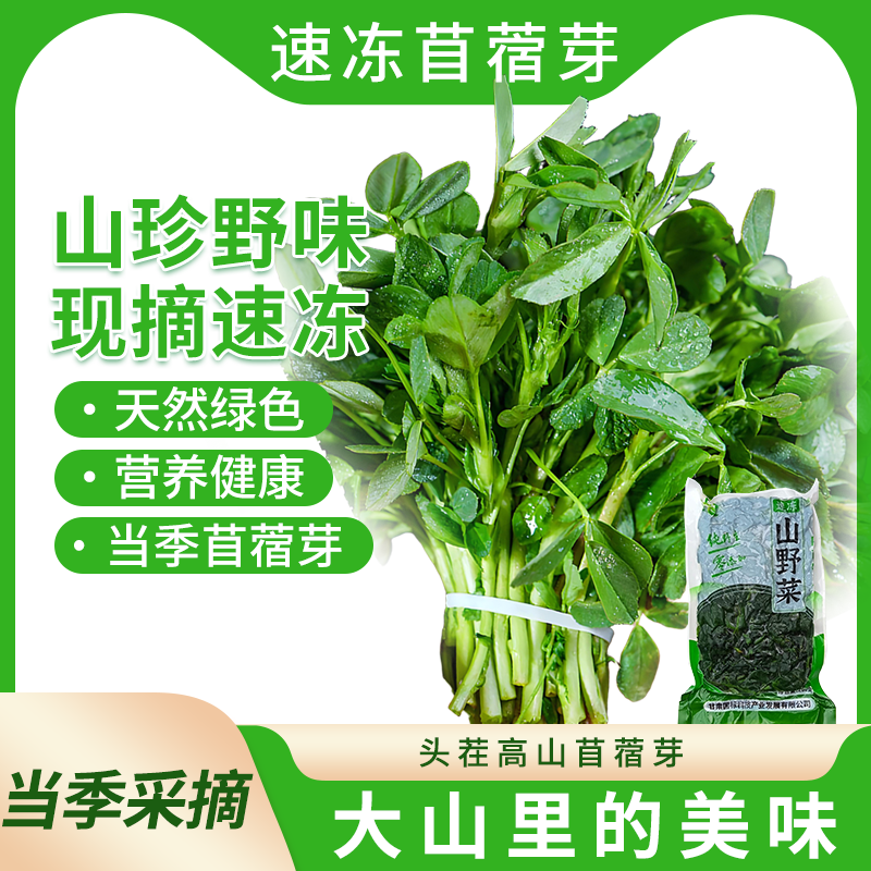 苜蓿芽