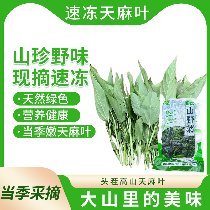 天麻叶