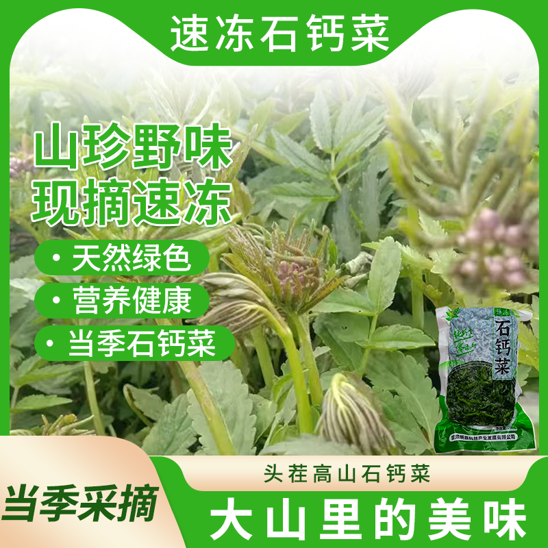 石钙菜