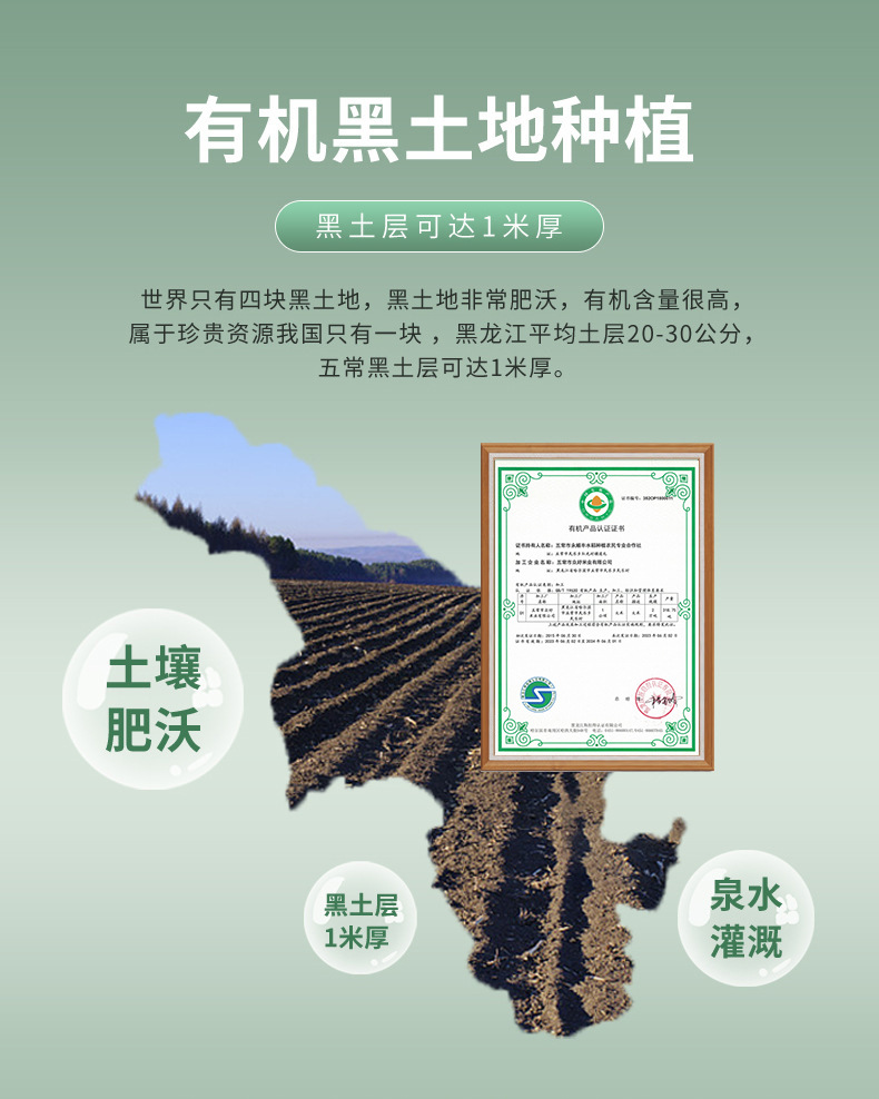 五优稻蓝袋10斤.jpg