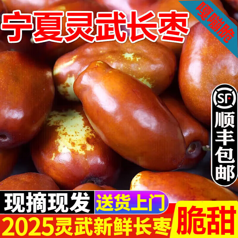 果木岛【顺丰直达】宁夏灵武特产长枣 大枣新鲜红枣子 新鲜现摘当季水果 1斤 【尝鲜试吃装】 中果（颗颗甄选）