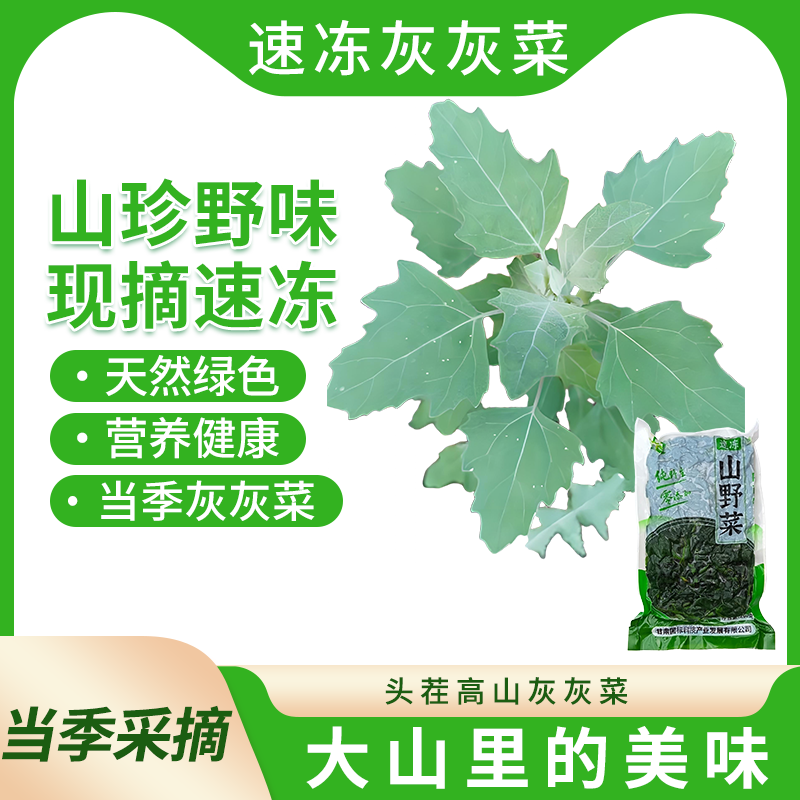 灰灰菜