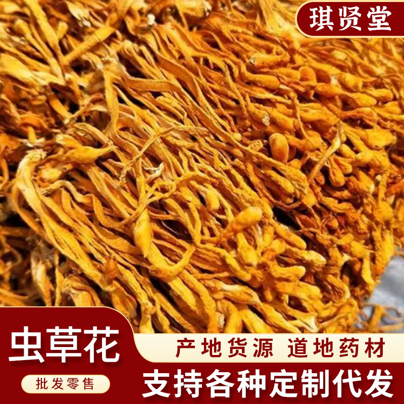 虫草花干货北虫草蛹虫草煲汤