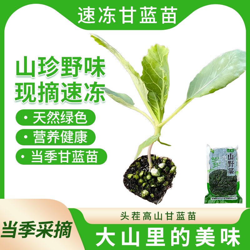 清甜甘蓝苗