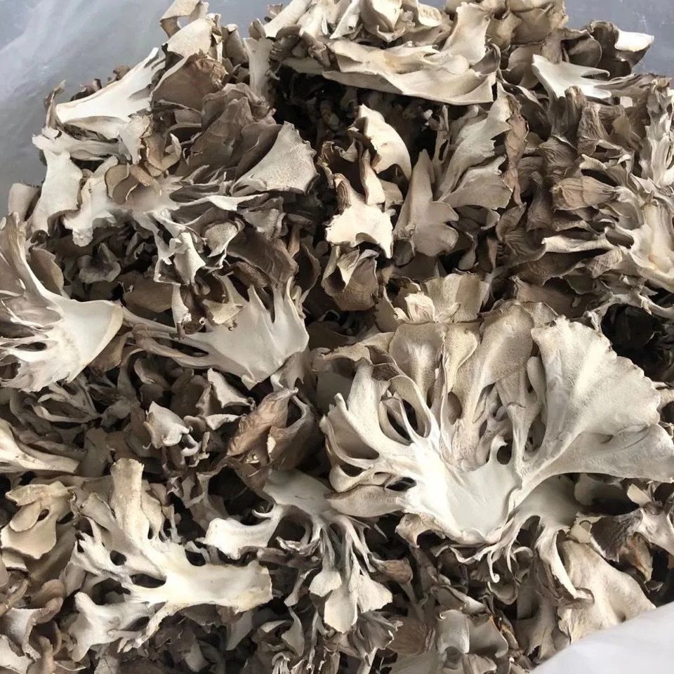 灰树花干货灰树菇食用无污染绿色舞茸茶农家栗蘑千佛切片100g