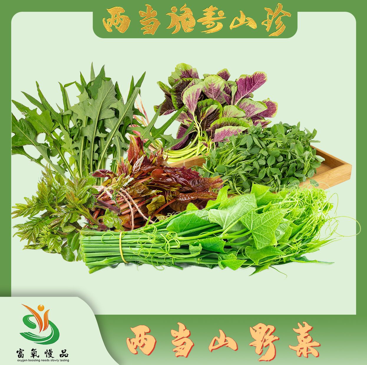 【陇秀馫】两当山野菜