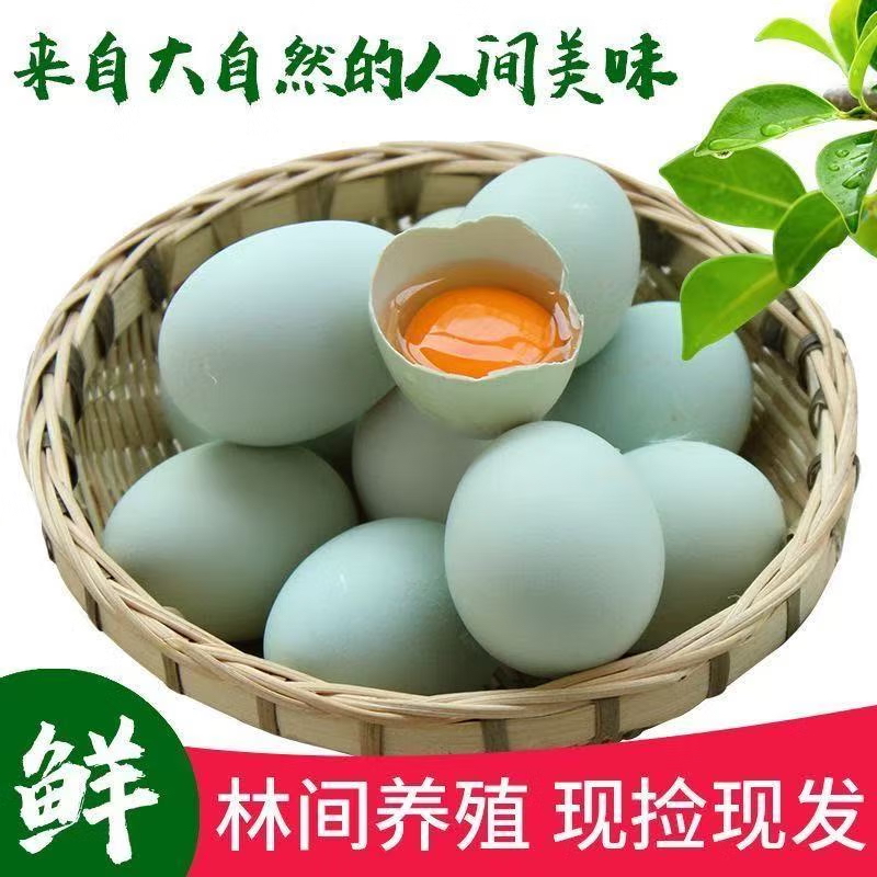 云屏林草土鸡蛋