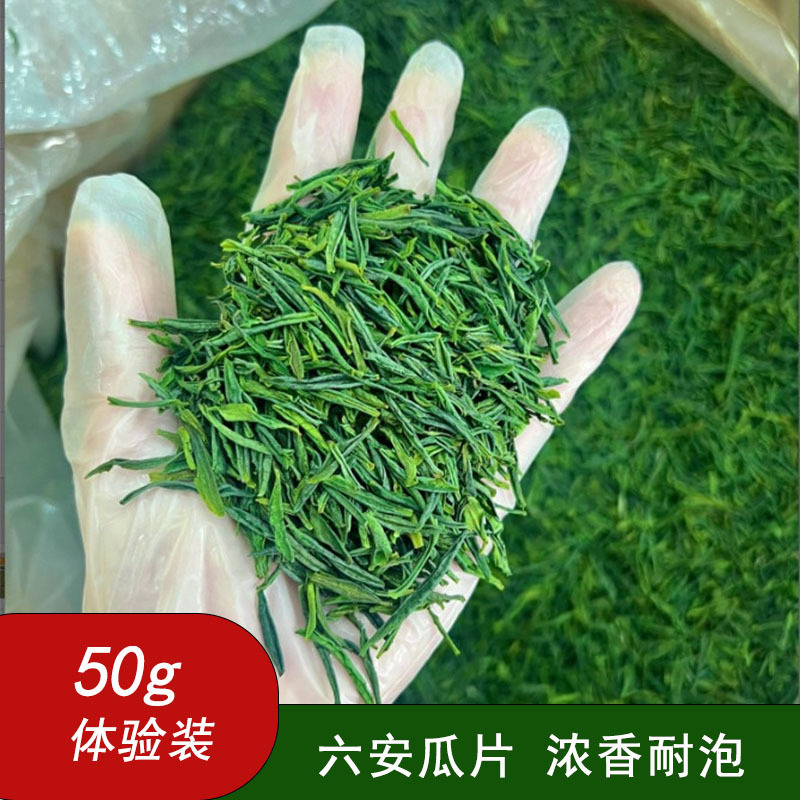 2025新茶六安瓜片绿茶春茶浓香型茶叶批发自产自销50g体验装
