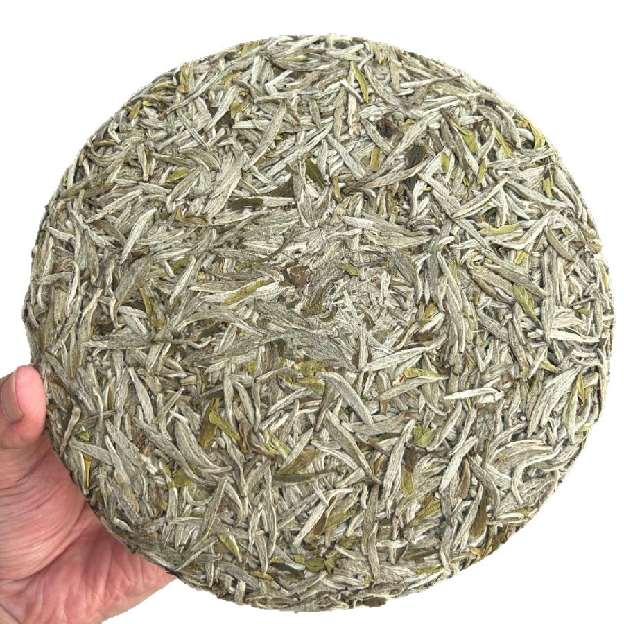 2025年花香银针饼福鼎白茶磻溪高山头春明前
