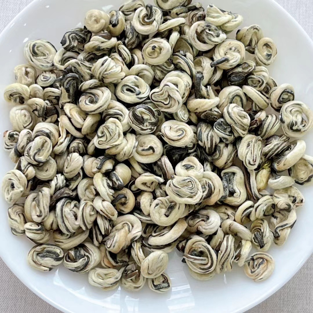 【玉螺王1号】广西横县茉莉花茶 传统工艺浓香型玉螺王茉莉白玉螺
