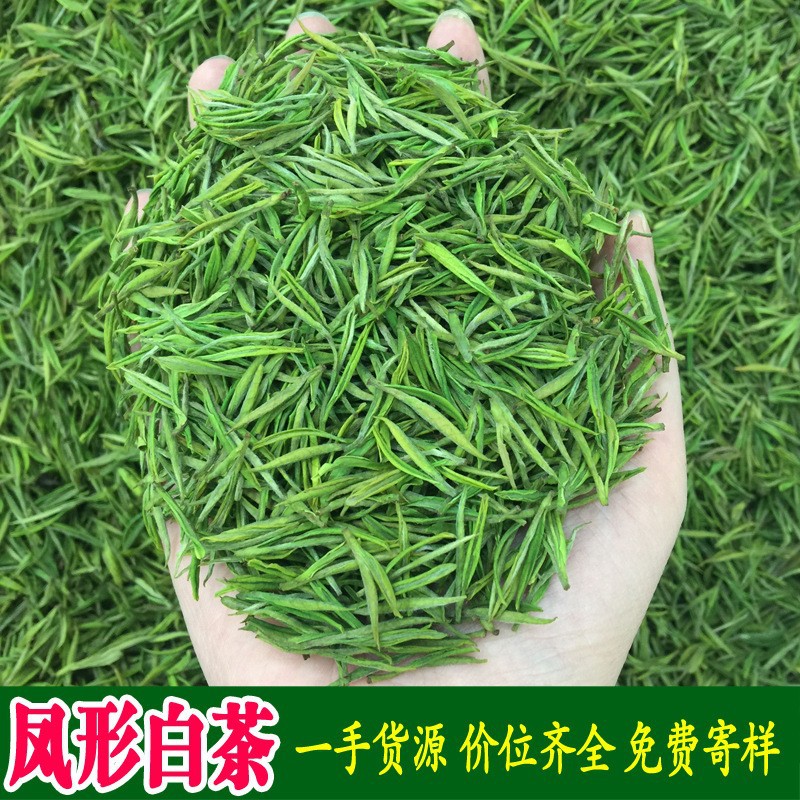 2025年新茶安吉县工艺明前绿茶茶叶散装浙江凤形奶白色白茶批发
