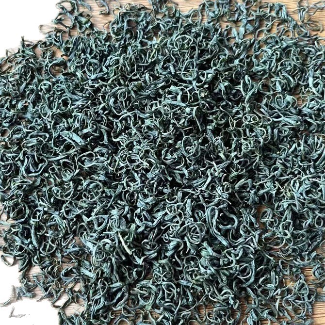 2025新茶高火香绿茶批发 豆香茶叶散装香茶浓香耐泡茶叶绿茶厂家     30斤
