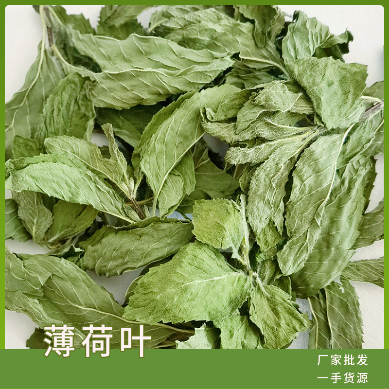 批发薄荷叶薄荷茶基地直供新货上市薄荷叶颗粒茶花草茶
