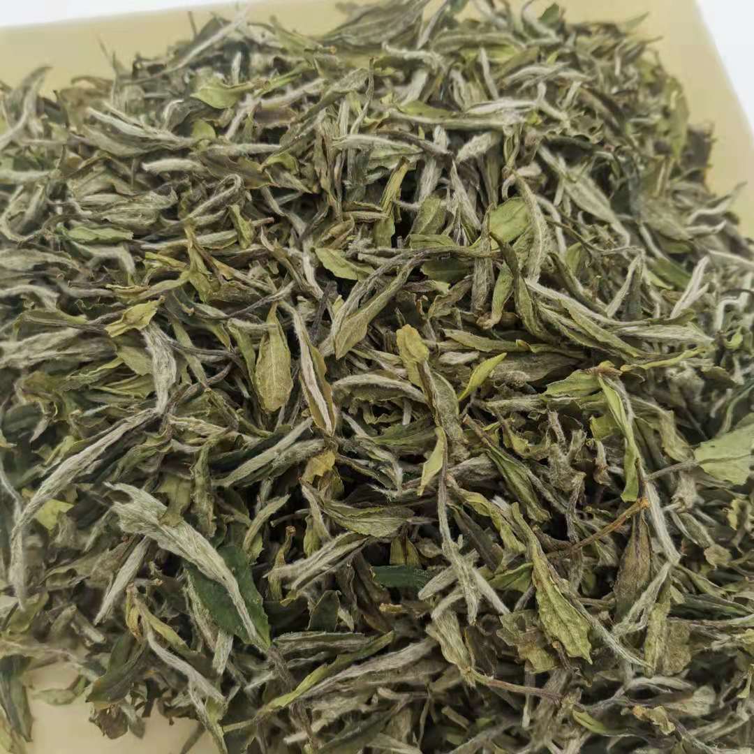 2021年福鼎的白茶白牡丹甘甜醇厚高香白茶白牡丹散装厂家走量批发    1斤
