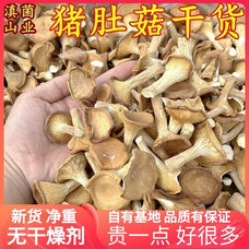 猪肚菇干 干货 一斤装500克山珍美食农产品土产香菇云南菌子 100g