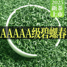 越峰一级碧螺春2025年新茶袋装绿茶茶叶自己喝实惠口粮好茶2袋共500g