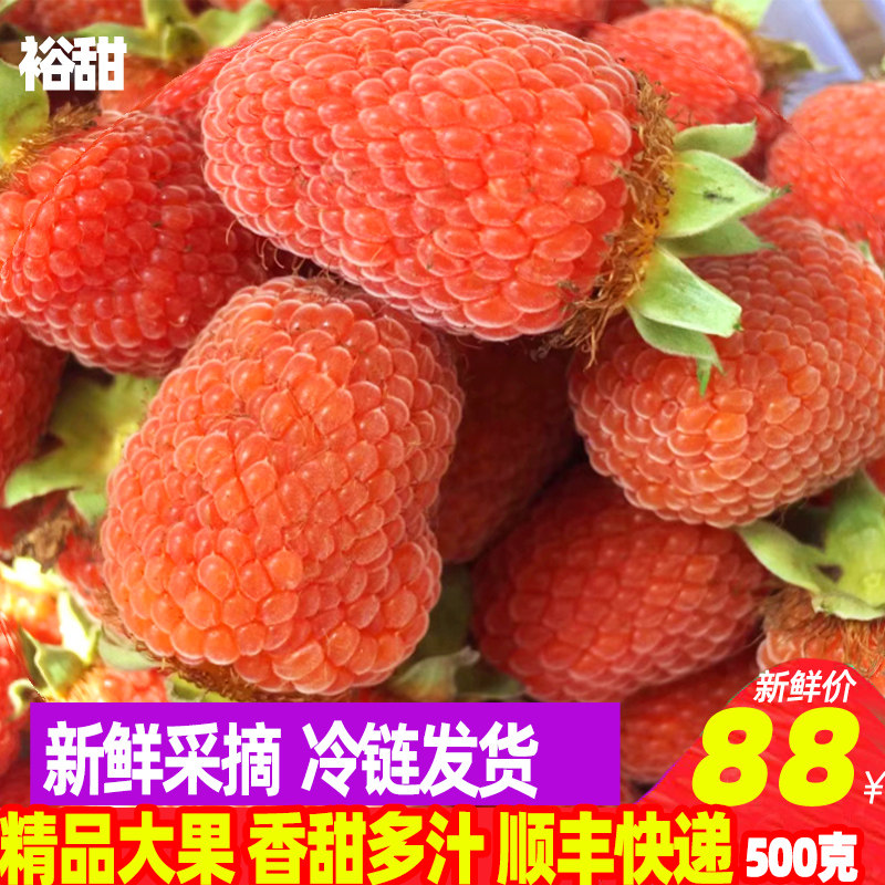 鲜果红树莓新鲜掌叶覆盆子三月泡蓬蘽野生山莓大草莓孕妇水果刺泡
