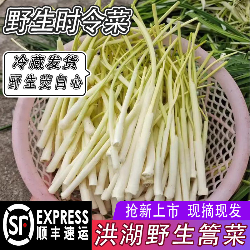 顺丰包邮洪湖野生高菜湖北特产篙菜蒲笋野茭白草心芦时令蔬菜高草