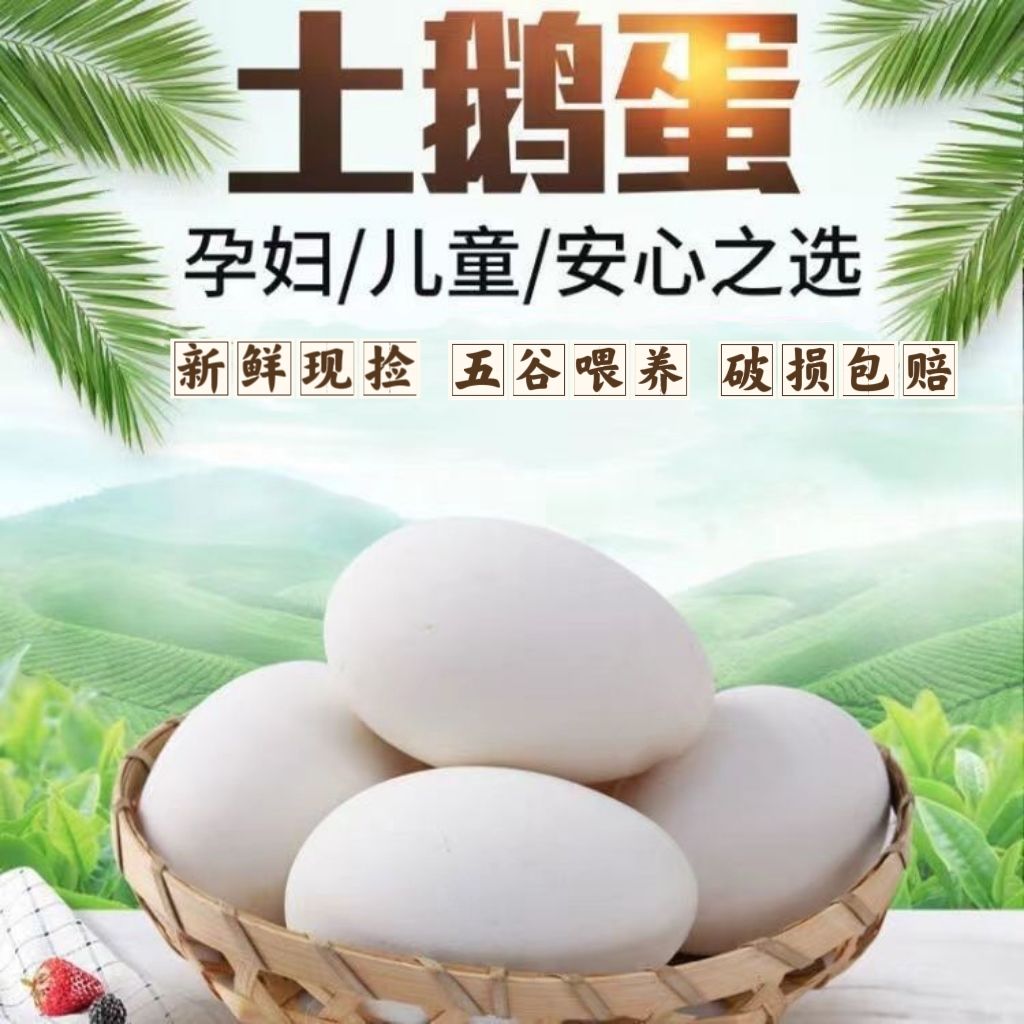 正宗鹅蛋 原生态有机山药边角料喂养孕妇孩子放心吃 12枚装