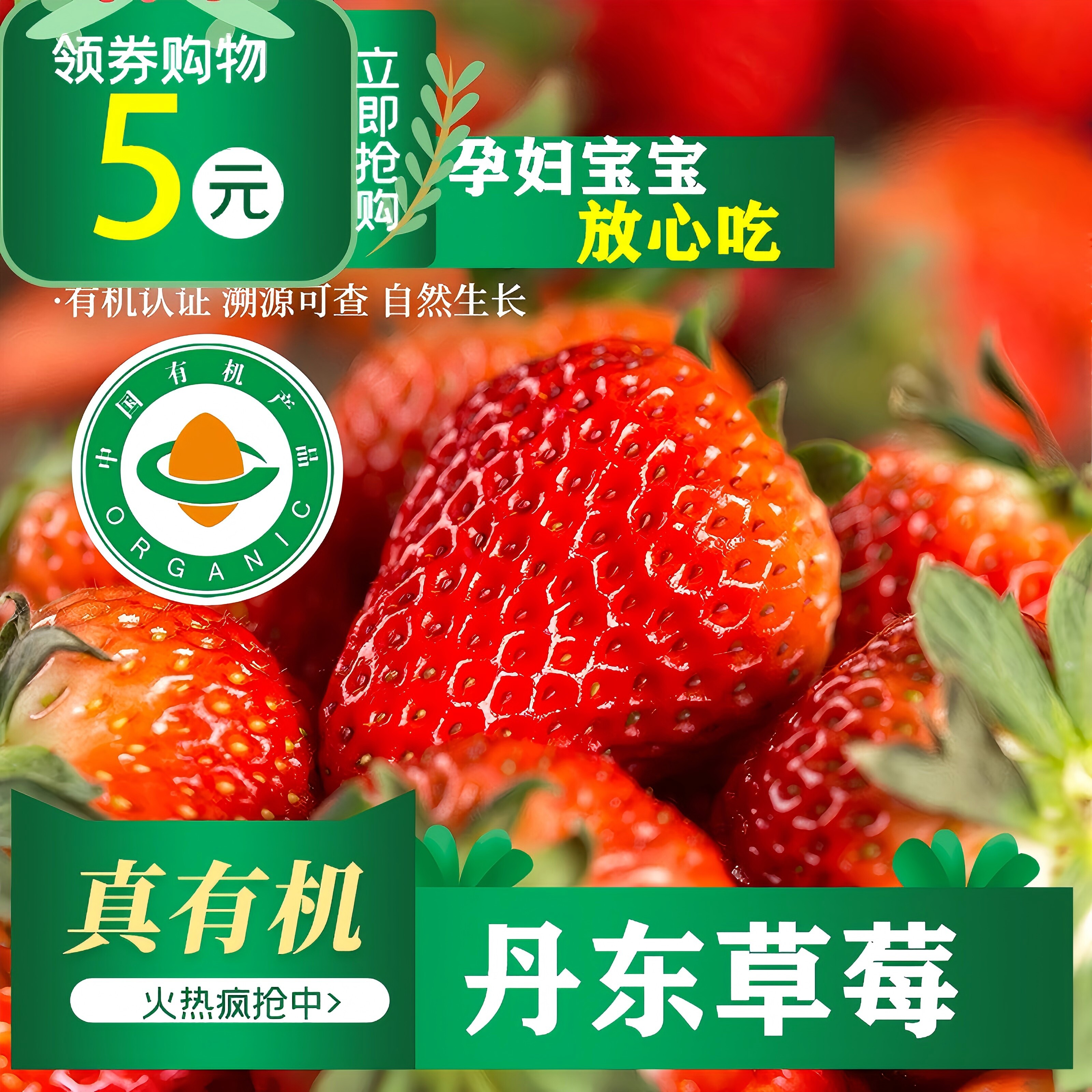 有机丹东草莓 有机认证无农残 鲜摘现发天然酸甜孕妇宝宝食用礼物