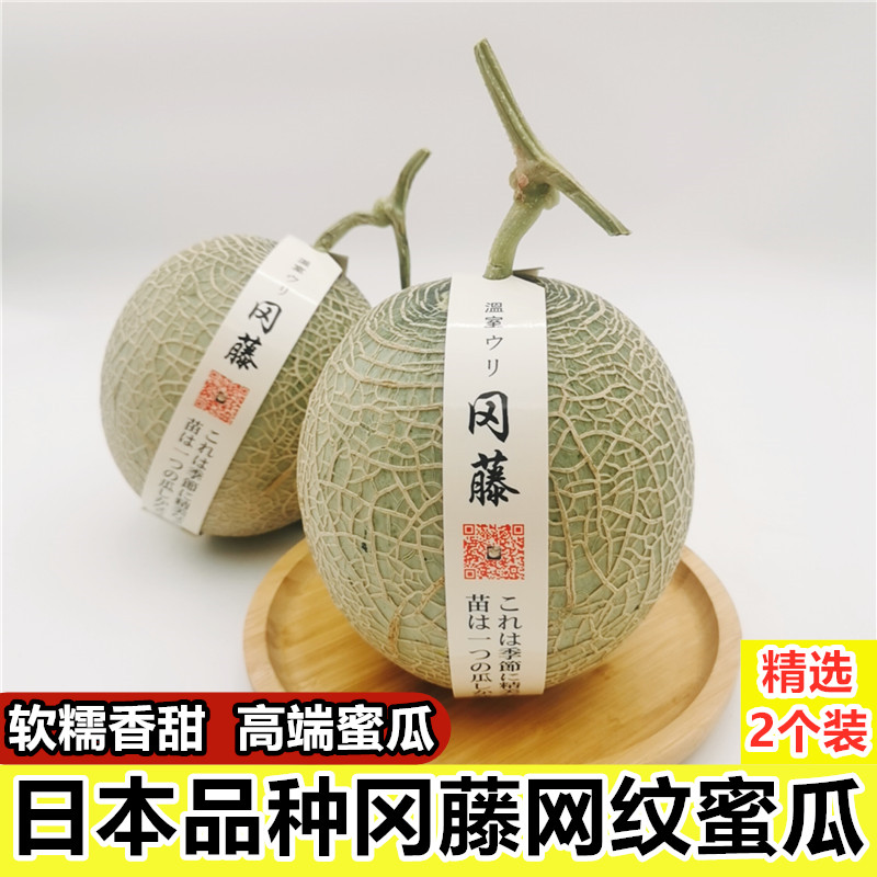 日本品种静冈冈藤蜜瓜网纹蜜瓜海南玫珑牛三2个装哈密瓜新鲜水果