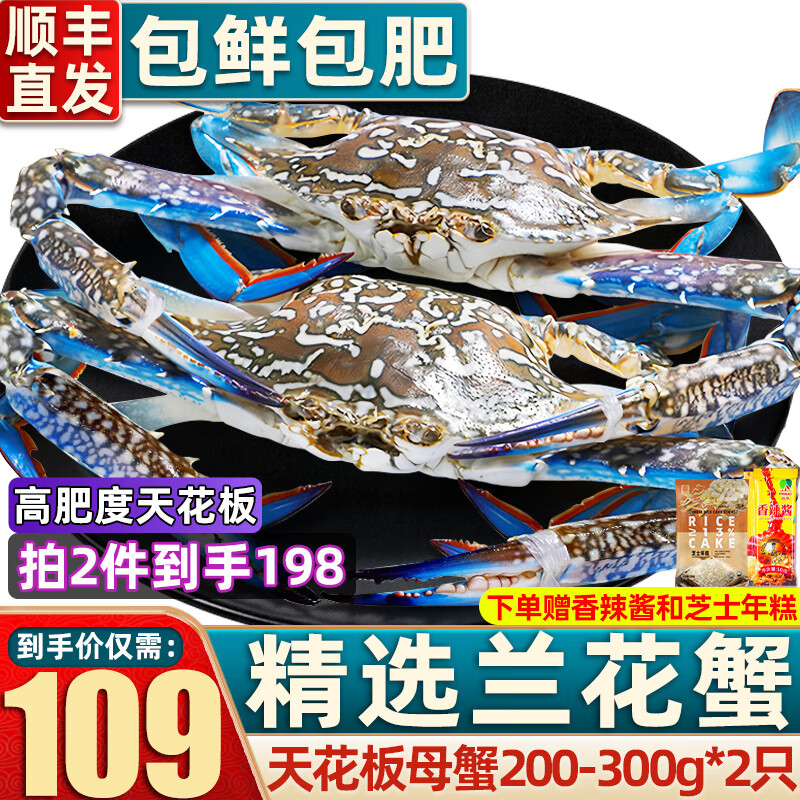【销量60W+只】舟山超大梭子蟹鲜蟹活冻大螃蟹生鲜飞蟹大肉蟹 精品兰花蟹 200-300g母蟹两只