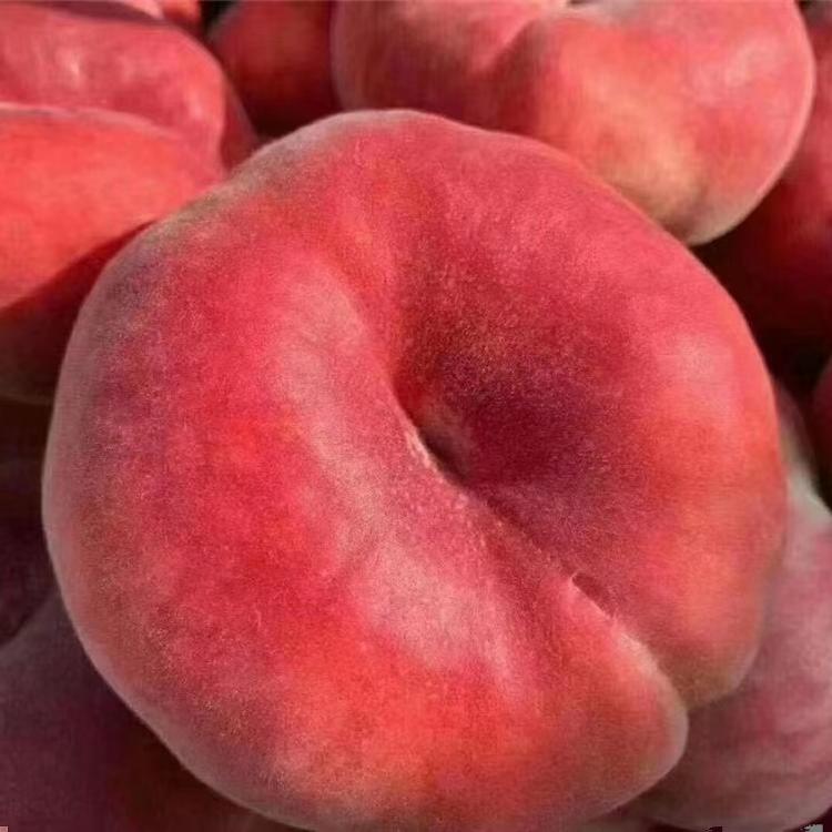 新鲜红毛蟠桃 红扁桃 黄蟠桃任选 脆甜多汁孕妇水果 500g