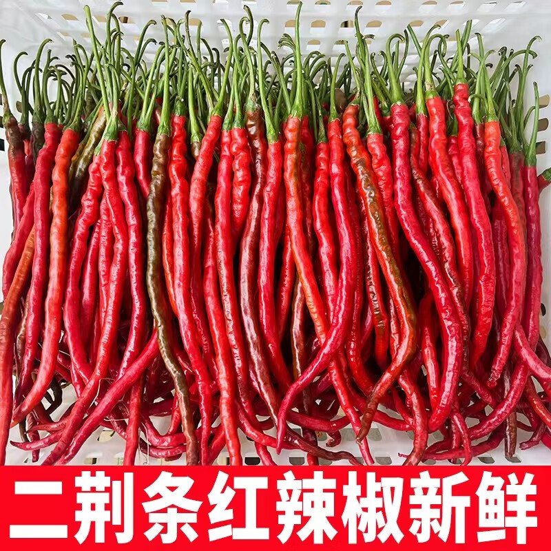囧仙子四川二荆条红辣椒新鲜薄皮红线椒5斤蔬菜腌制剁椒原料泡椒 2斤红二荆条