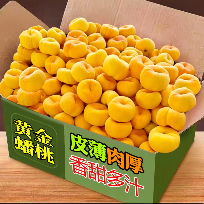 蒙阴黄金蟠桃5斤新鲜应当季整箱黄肉毛桃子顺丰手撕扁桃水果包邮9