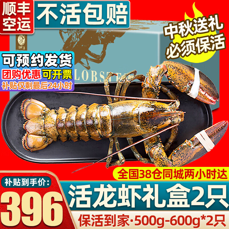 首鲜道【活鲜】波士顿龙虾鲜活波龙 大龙虾海鲜鲜活礼盒大虾年货礼盒 500-600g/只大龙虾*2只