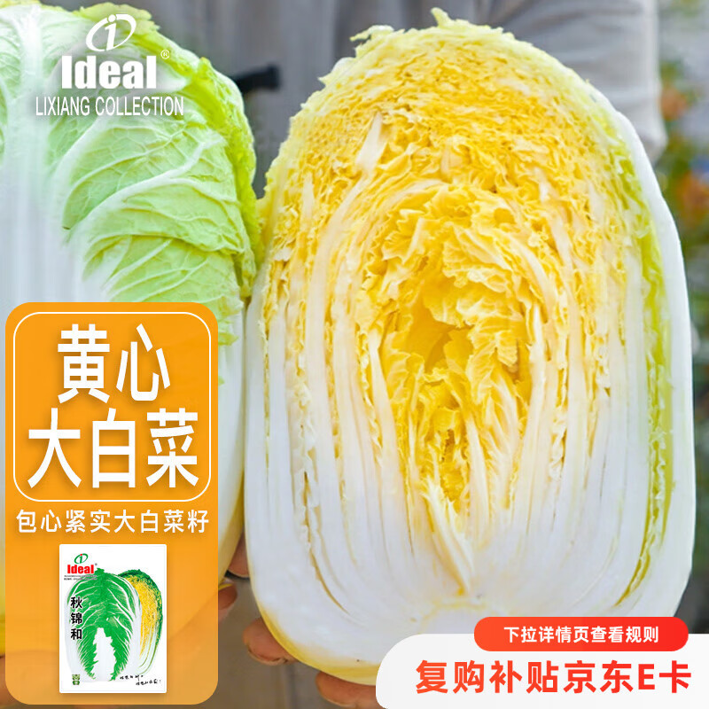 IDEAL理想农业 黄心大白菜种子秋冬季种耐寒脆甜黄心大白菜籽蔬菜种子