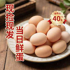 农家散养谷饲鲜鸡蛋 单枚约40g±5g 营养早餐食材蛋白整箱批发 50枚