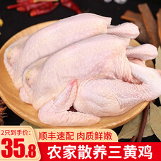 海蓝锅锅团三黄鸡肉 农家散养走地鸡 140天小母鸡椰子鸡火锅生鲜鸡肉 三黄鸡【2只装*750克】
