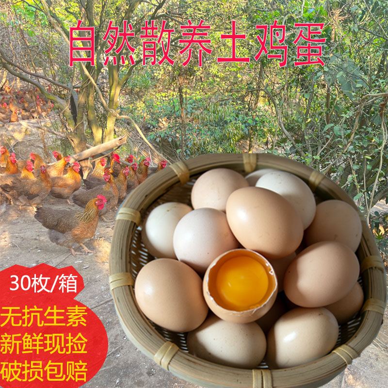 正宗土鸡蛋散养鸡蛋农家鸡蛋五谷蛋新鲜现捡鸡蛋纯农村自养鸡蛋