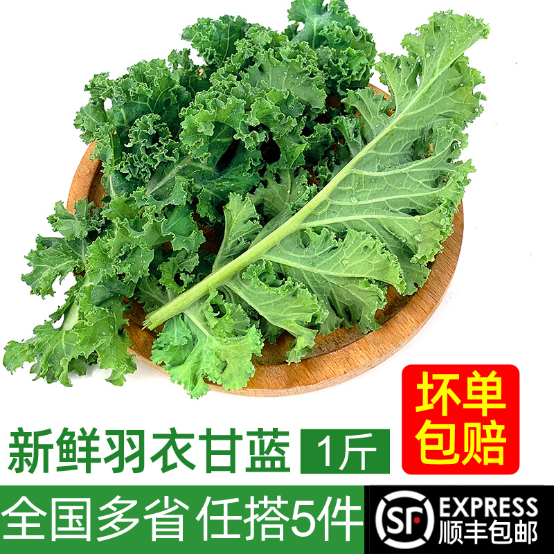 绿食者 羽衣甘蓝500g 新鲜蔬菜 绿叶甘兰嫩叶芥蓝菜kale西餐沙拉 健康轻食食材 500g