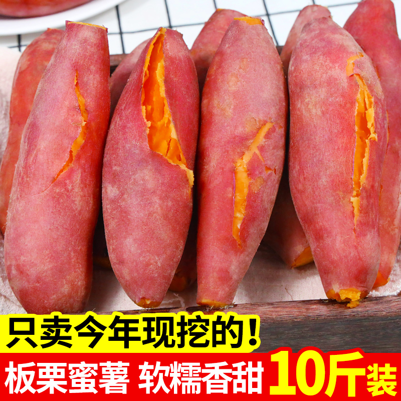 板栗蜜薯10斤新鲜红薯农家自种西瓜红糖心地瓜山东烟薯番薯小香薯 5斤 优选装